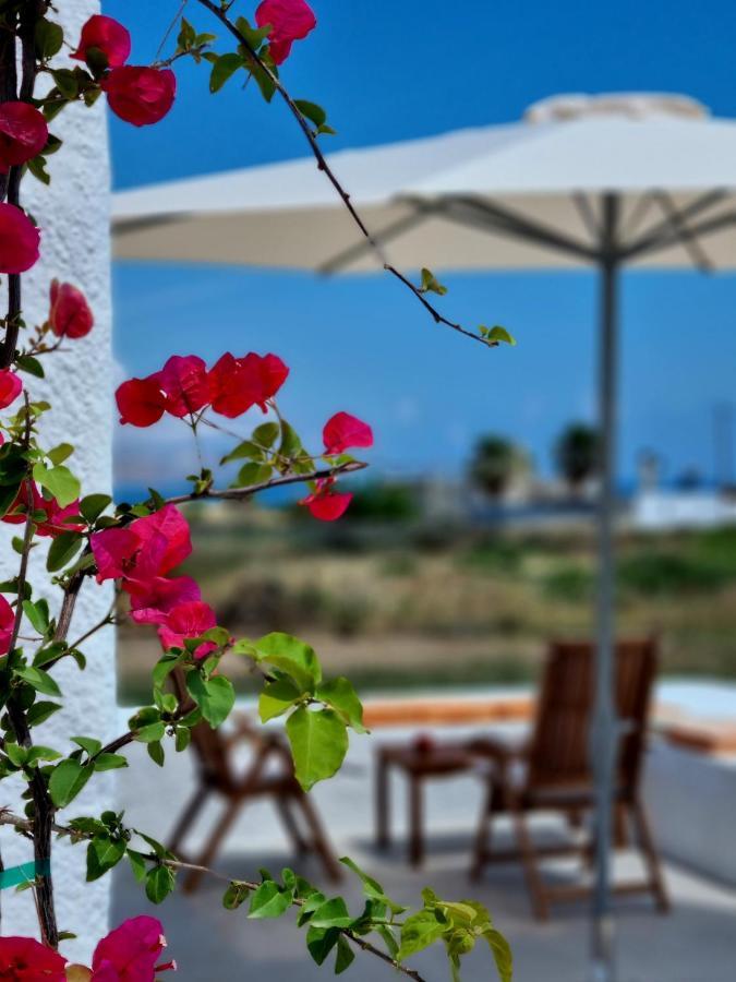 All Season Lovely Seafront Cottage 基萨莫斯 外观 照片
